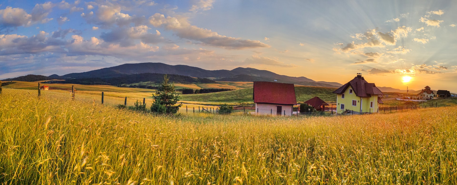 Smiljanica Zakosi Zlatibor zlatna planina